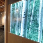 Backlit LED Decorative Display Wall - NxtWall Flex Series #0994