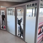 NxtWall Case Study Animal Hospital of Rowlett Veterinary Clinic - Rowlett, TX #1624