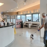 Reception area entrance Flex-Series freestanding exam rooms background