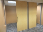 Double solid sliding doors flex series #0335