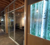 Backlit LED Decorative Display Wall - NxtWall Flex Series