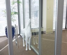 Frameless swing glass door with barpulls Frameless swing glass door with barpulls