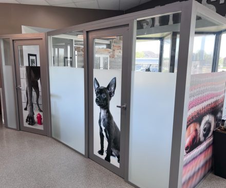 NxtWall Case Study Animal Hospital of Rowlett Veterinary Clinic - Rowlett, TX #1624