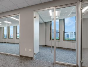 Frameless Glass Swing Door Frameless Glass Swing Door