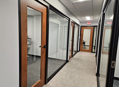 View Series with black frame finish and solid core wood full lite doors View Series with black frame finish and solid core wood full lite doors